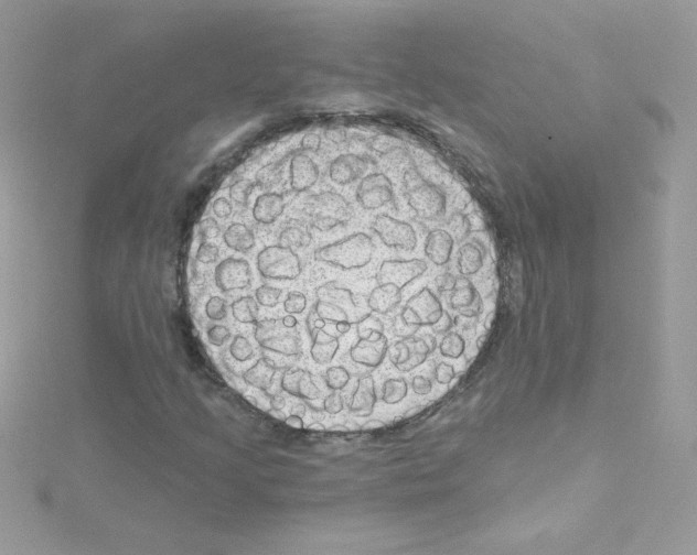 X0000114401205200911271511