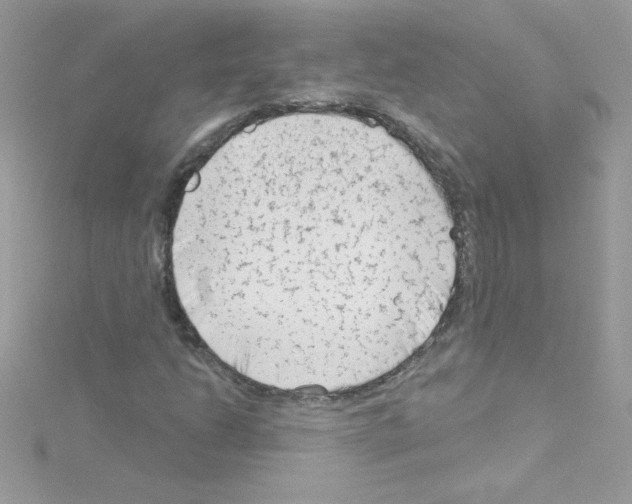 X0000114401206200911271511