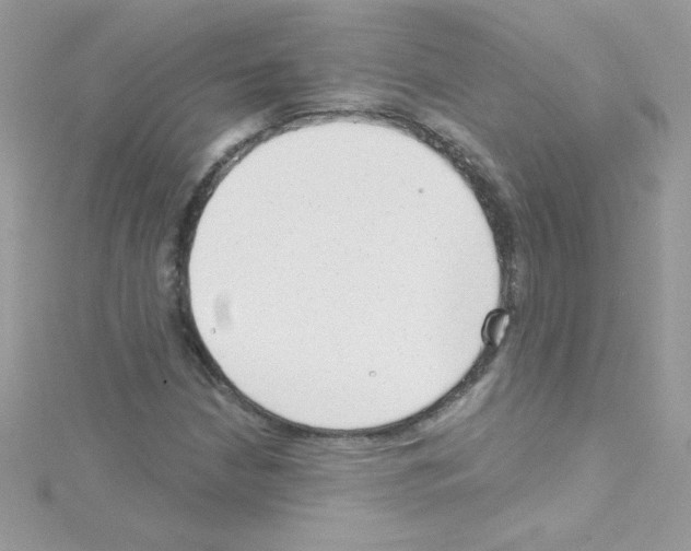 X0000114401210200911271511