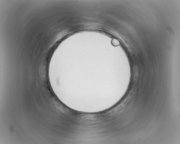 X0000114401211200911271511