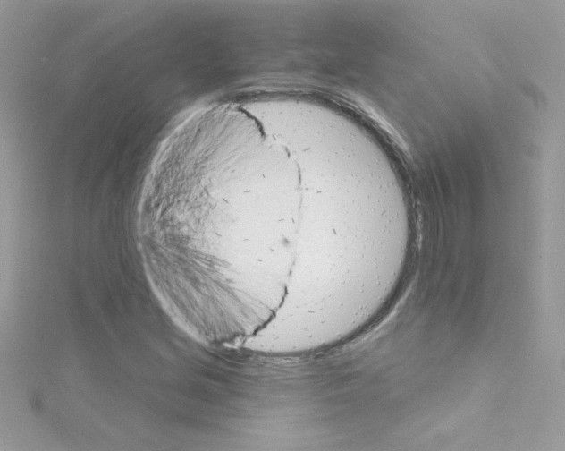 X0000114401213200911271511