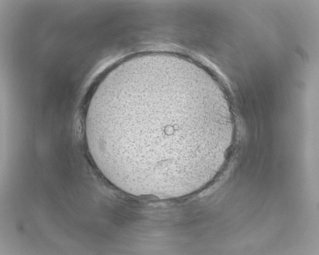 X0000114401215200911271511