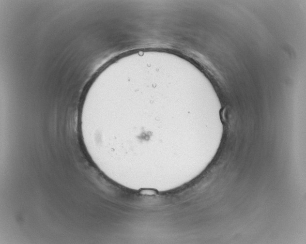 X0000114401220200911271511