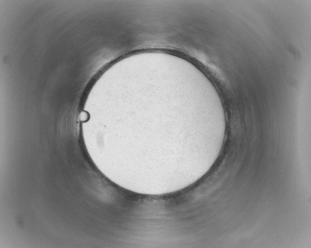 X0000114401221200911271511