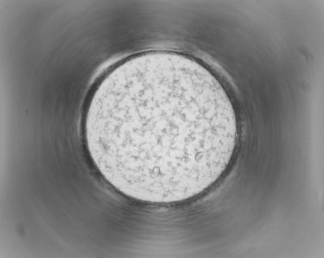 X0000114401222200911271511