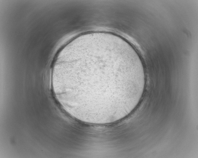 X0000114401223200911271511