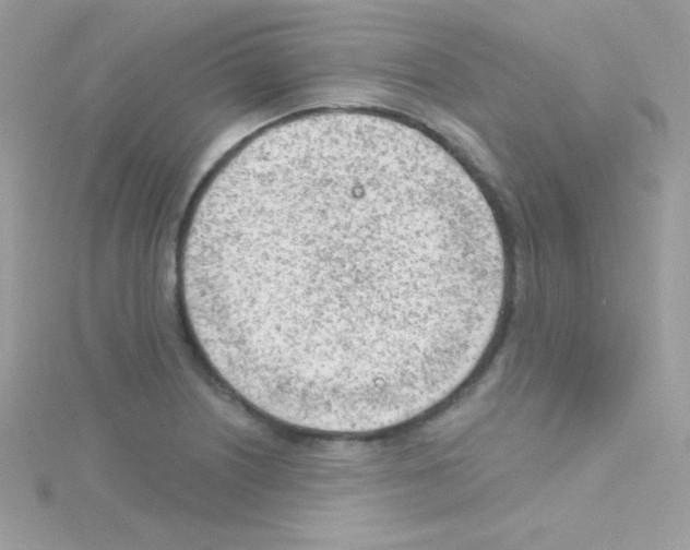 X0000114401226200911271511