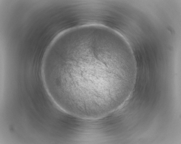 X0000114401227200911271511