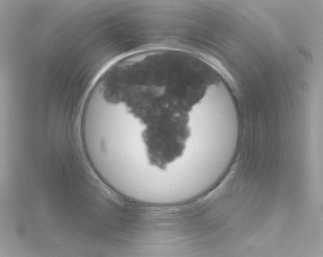 X0000114401228200911271511