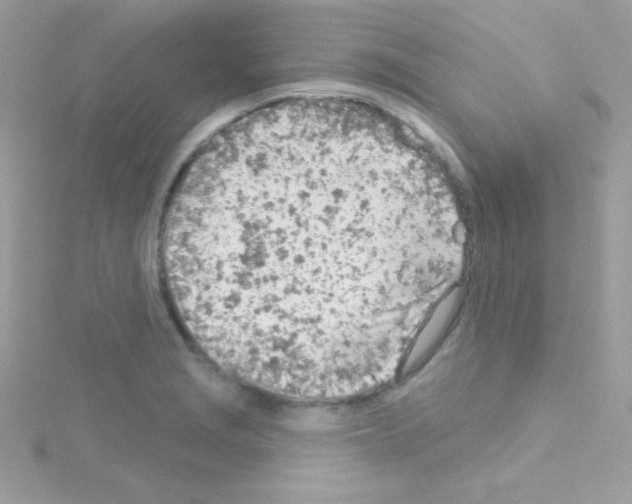 X0000114401229200911271511