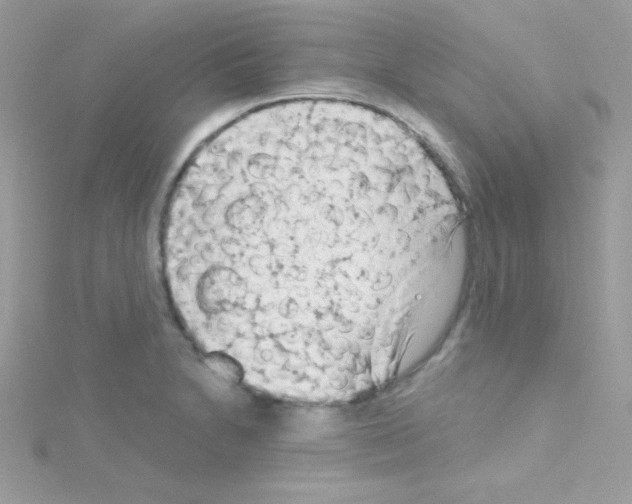 X0000114401230200911271511