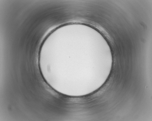 X0000114401232200911271511