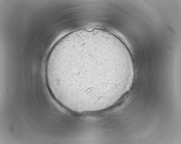 X0000114401235200911271511