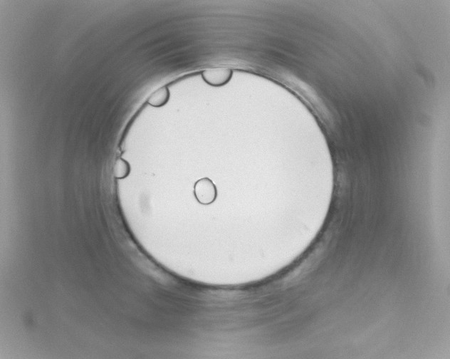 X0000114401236200911271511