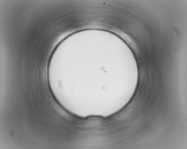 X0000114401238200911271511