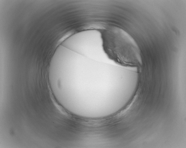 X0000114401241200911271511