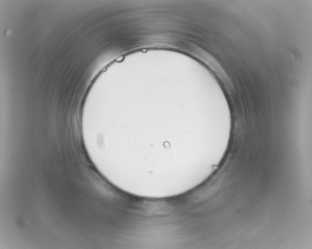 X0000114401242200911271511