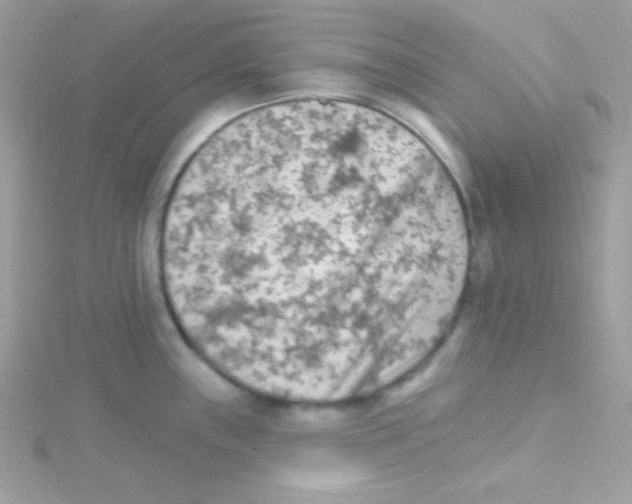 X0000114401243200911271511