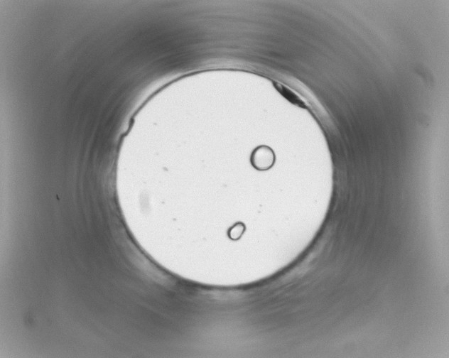 X0000114401244200911271511