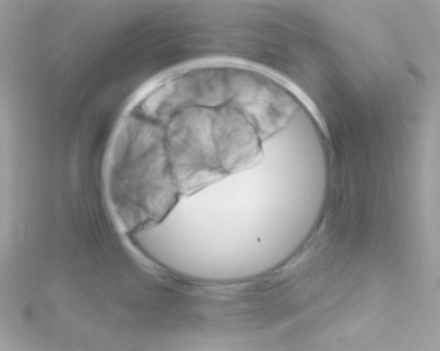 X0000114401245200911271511