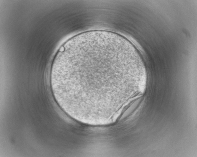 X0000114401246200911271511