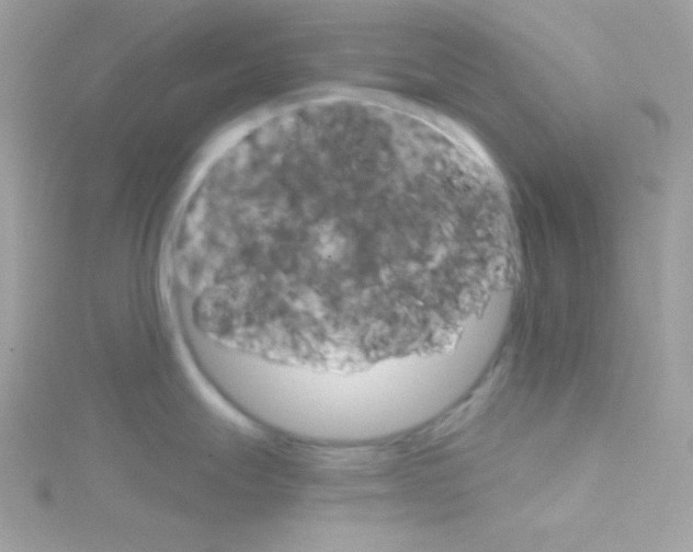 X0000114401247200911271511