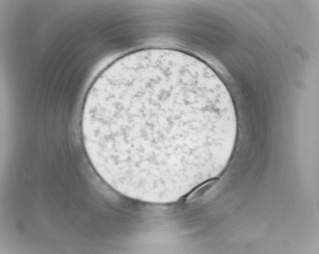 X0000114401248200911271511