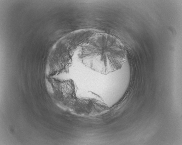 X0000114401251200911271511