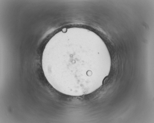 X0000114401255200911271511