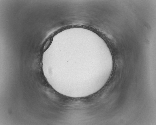 X0000114401256200911271511