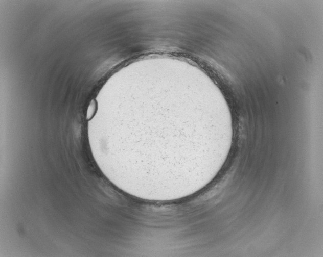 X0000114401257200911271511