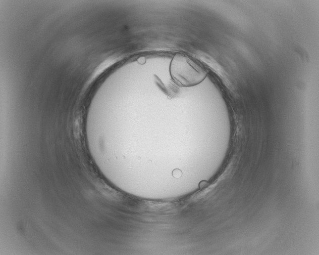 X0000114401258200911271511