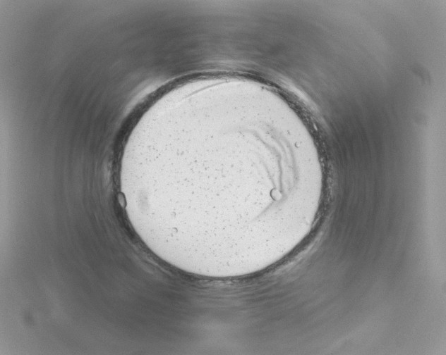 X0000114401259200911271511