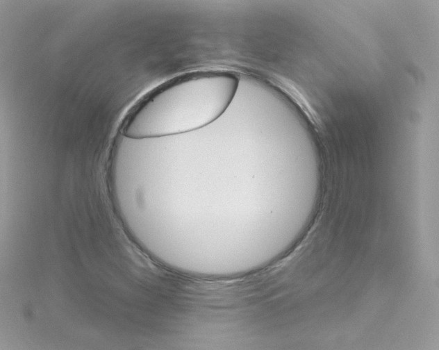 X0000114401260200911271511