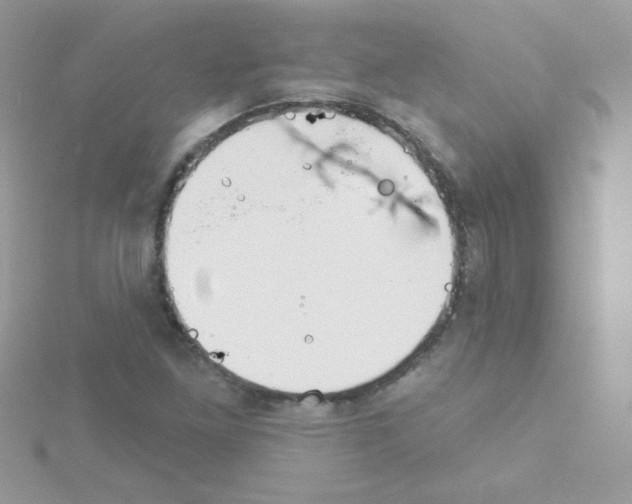 X0000114401261200911271511