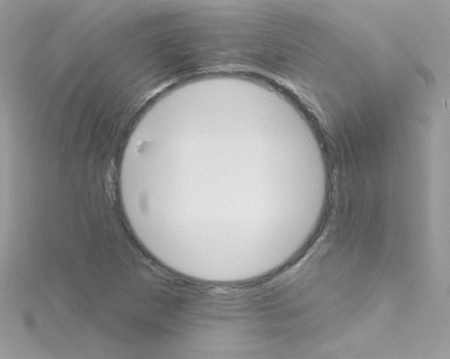 X0000114401265200911271511