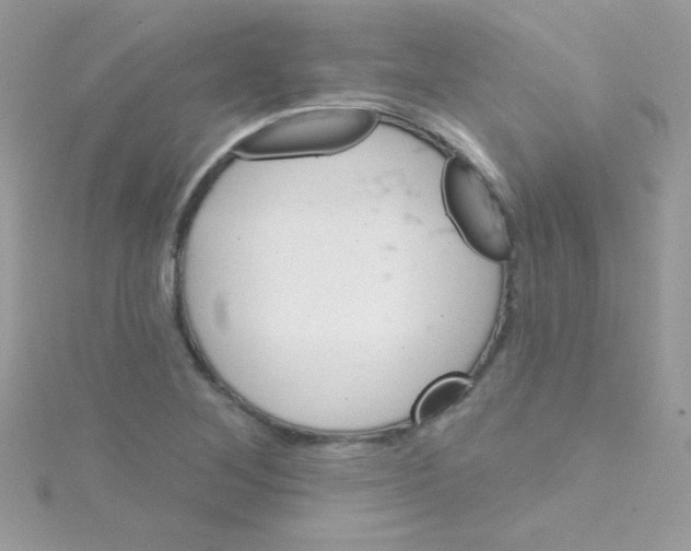 X0000114401268200911271511