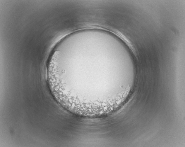 X0000114401269200911271511