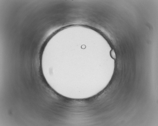 X0000114401270200911271511