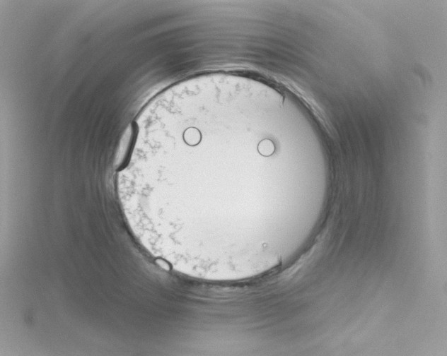 X0000114401273200911271511