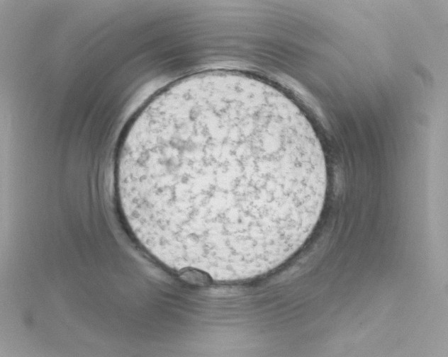 X0000114401274200911271511