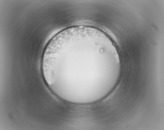 X0000114401277200911271511