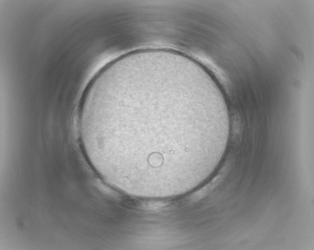 X0000114401278200911271511