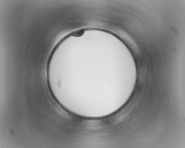 X0000114401280200911271511