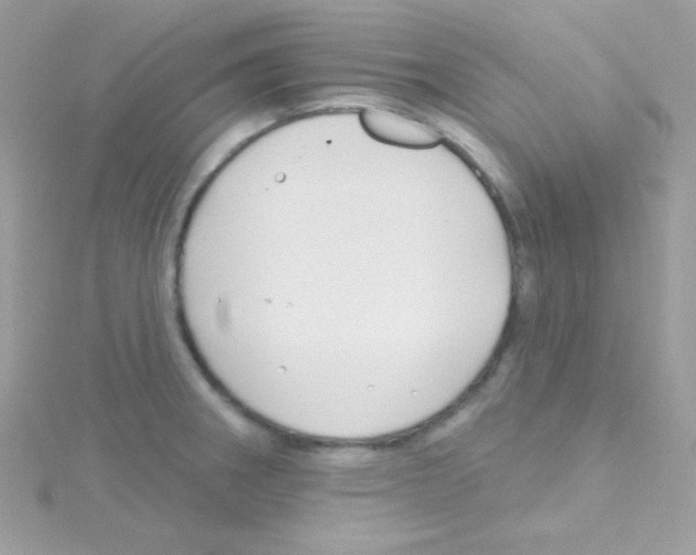 X0000114401282200911271510