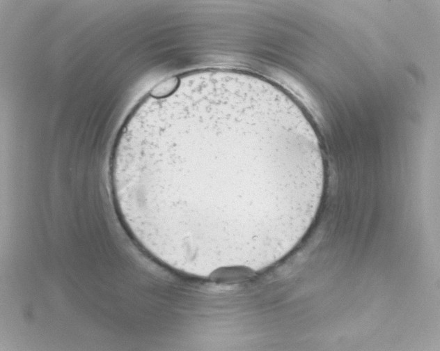 X0000114401283200911271510