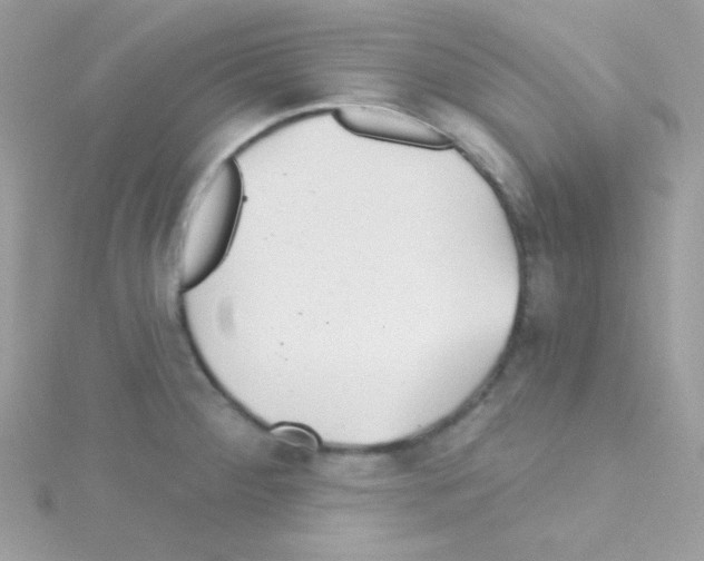 X0000114401284200911271510