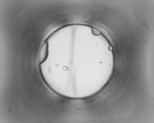 X0000114401285200911271510