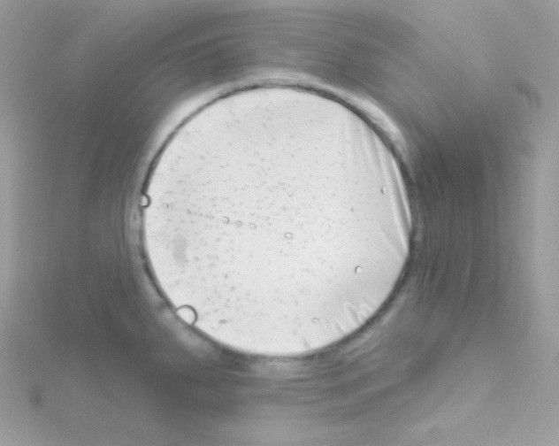 X0000114401287200911271510