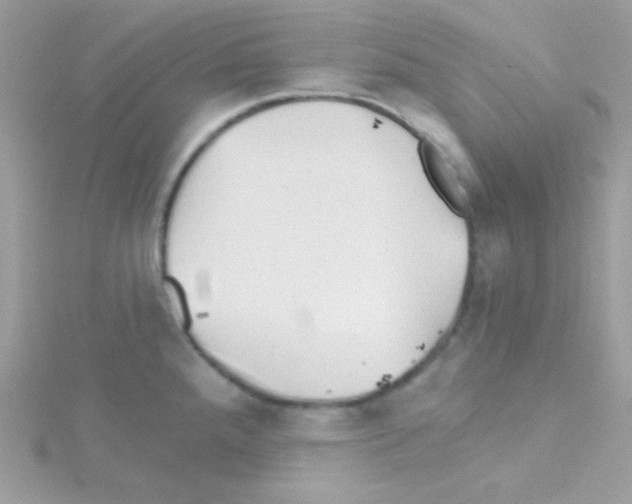 X0000114401288200911271510